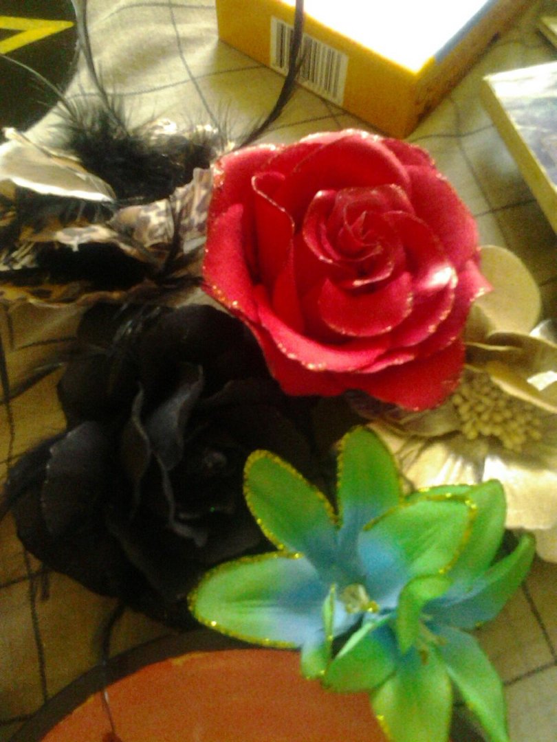 Gena Meyer's album, Mobile Uploads