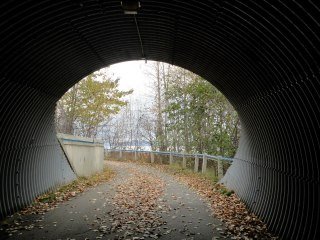 Gail Park's album, Coastal Trail, Anchorage AK
