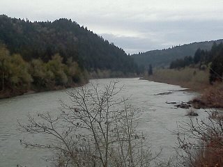 arden post's album, LG Phone Photos