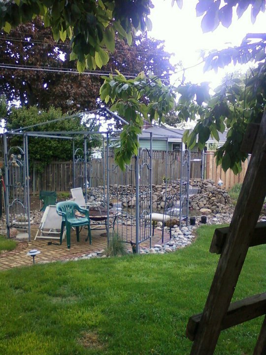 Mark stanton's album, My House and yard