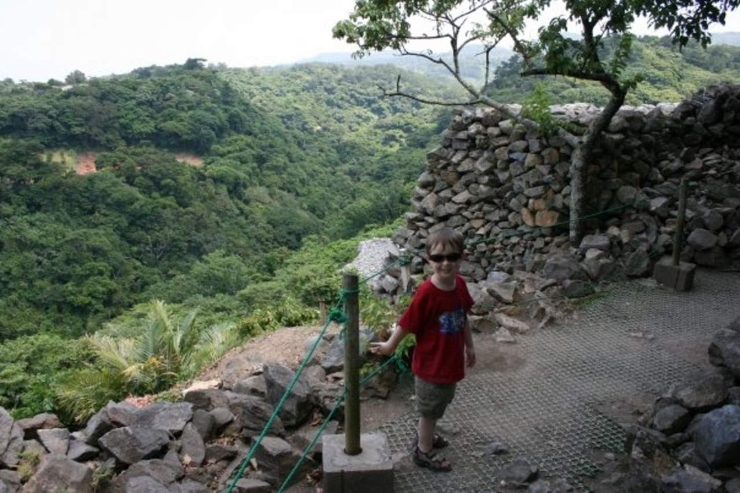 Dan Arpan's album, Okinawa