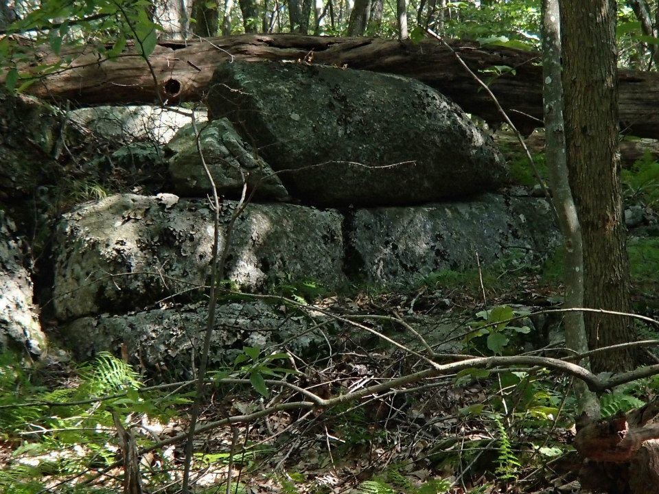 Brian Melton's album, Mt. Pleasant and Pompey Mountain--Henry Lanum Trail