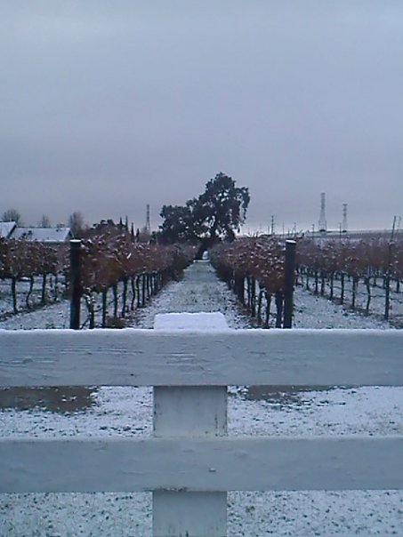 Robert White's album, Global Warming?