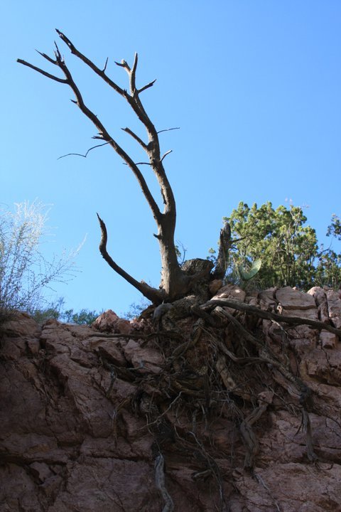 Scott MacFarlane's album, Catwalk, NM