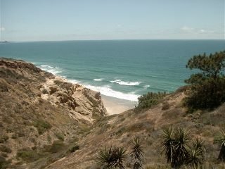 Jerry Johnson's album, San Diego