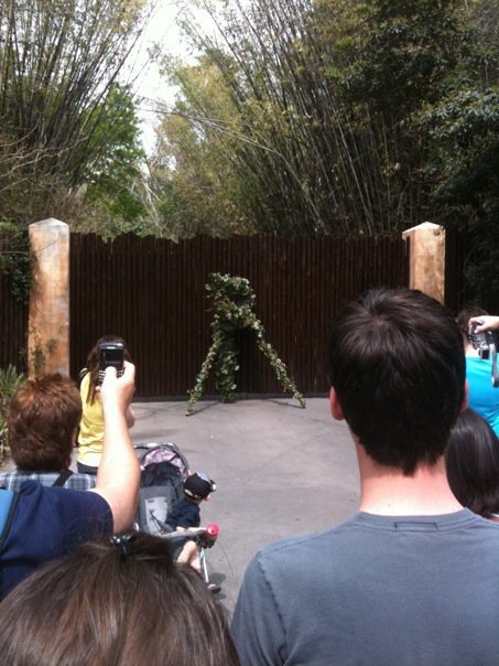 Scott Huerter's album, Disney 2010