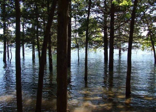 Melissa Deckard's album, Cover Photos
