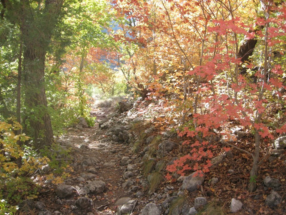 W. Richard Forcum's album, Cover Photos