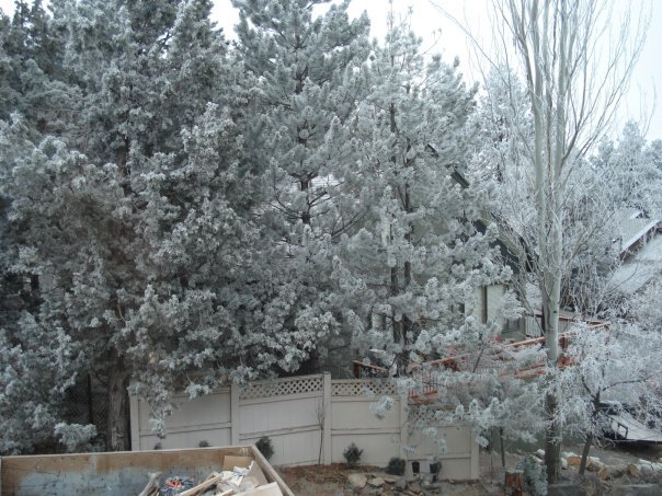 Gary Tepe's album, Xmas in Bend