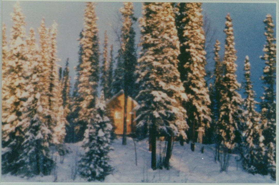 1984 HOMESTEAD!