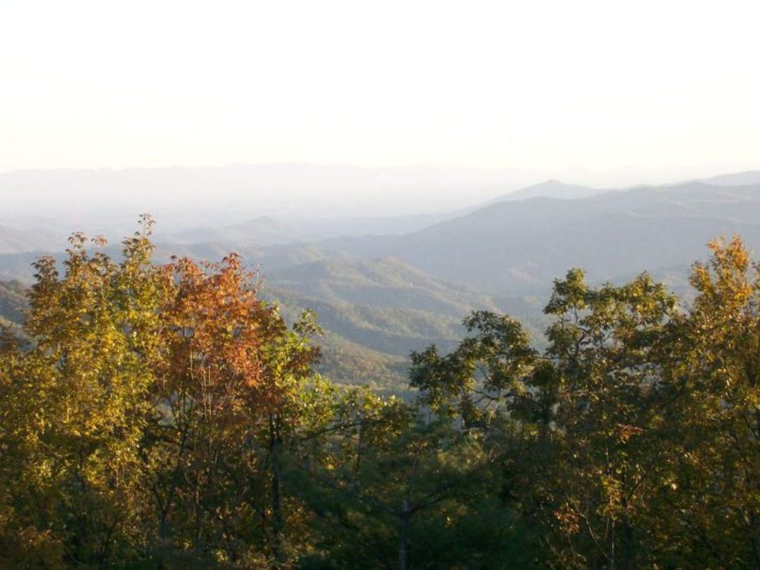 Lori Mayer's album, NC MTNS October 9th 2010