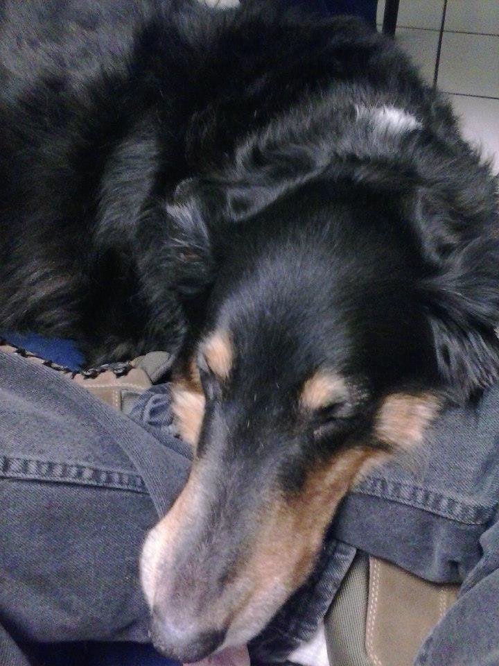 Scott Post's album, Nala