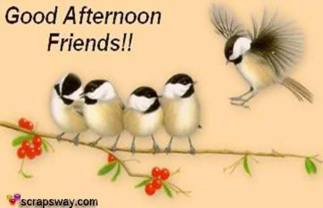 Dawn Sarno's album, Timeline Photos
