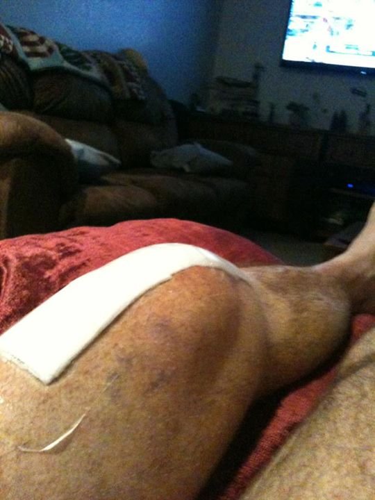 Lori Stafford's album, Mobile Uploads