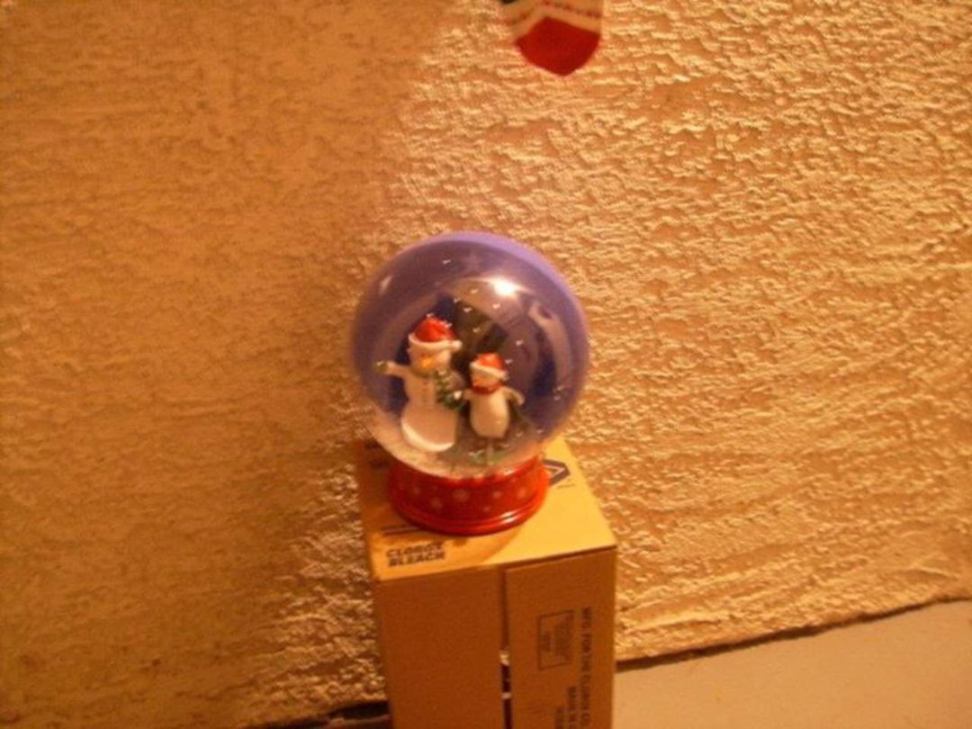 Sharon Nolan's album, December 4, 2011
