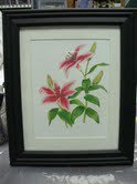 Susan Miller's album, Susan Miller's Artwork