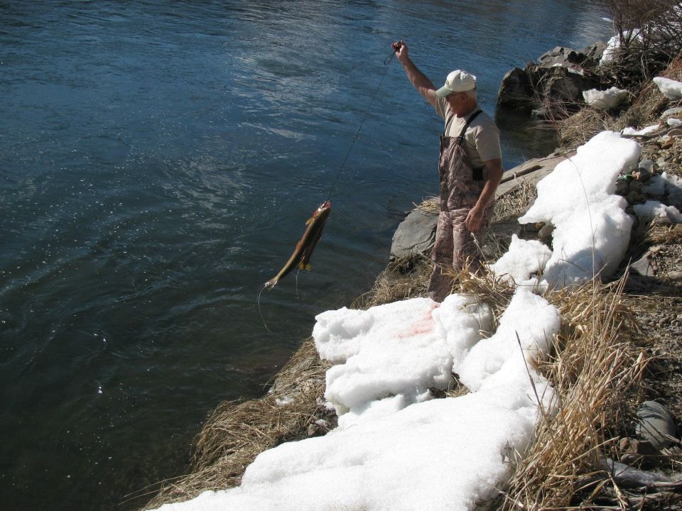 Max Heberling's album, The biggest steelhead yet this Spring!