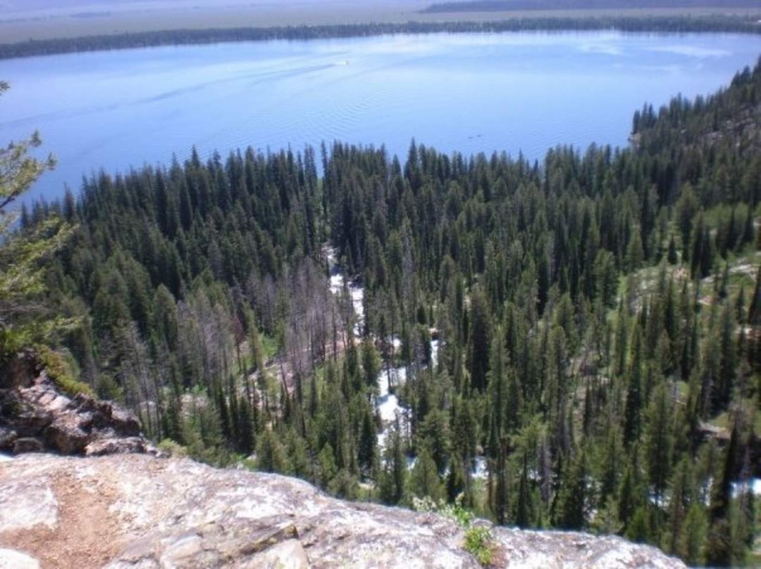 Lynden Kellis' album, Tetons / Yellowstone 2009