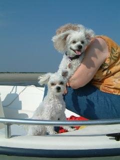 Willene Pierce's album, DARLA & Friends