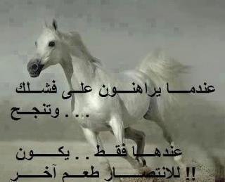 Nabil Albakri's album, Mobile Uploads