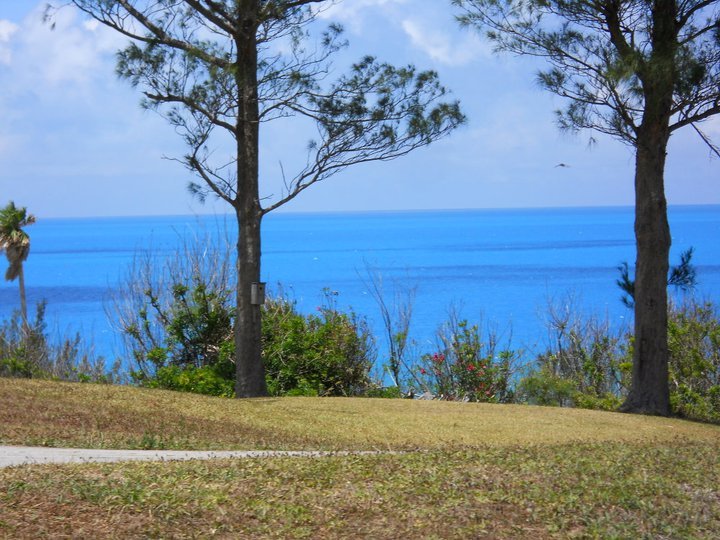 Tracy Robertson's album, Bermuda 2011