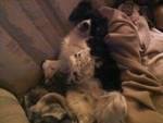 Mitch Brown's album, Timeline Photos
