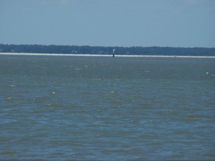 Dennis Messer's album, May 22, 2011