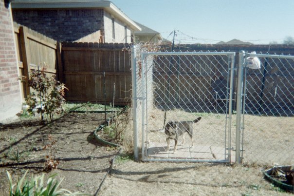 Dennis Aalid's album, Dennis' Home Photos