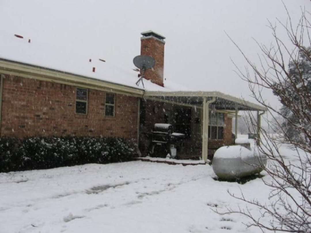 Debi White's album, snow 2-11-10