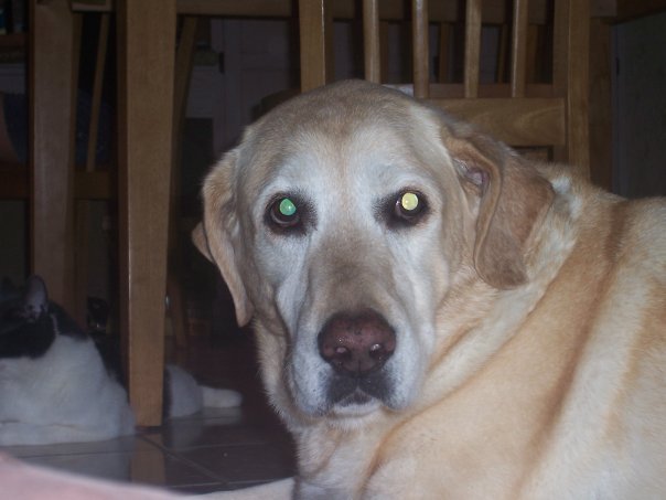Larry Wright's album, Profile Pictures