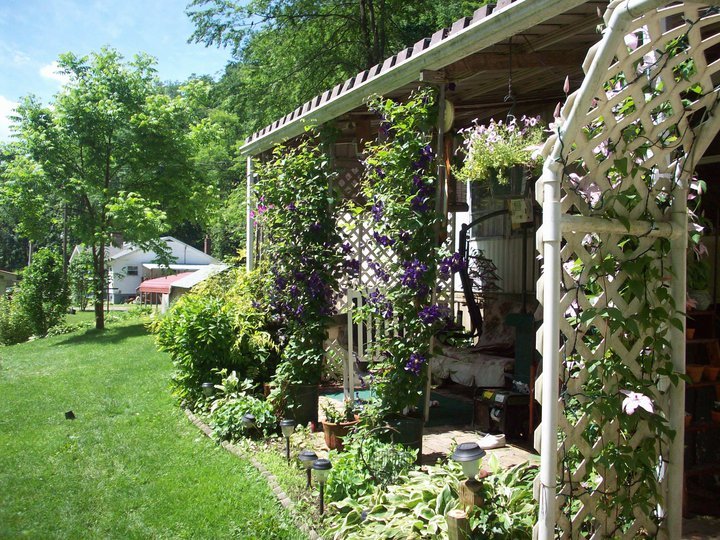Paula Chevalier's album, My Patio