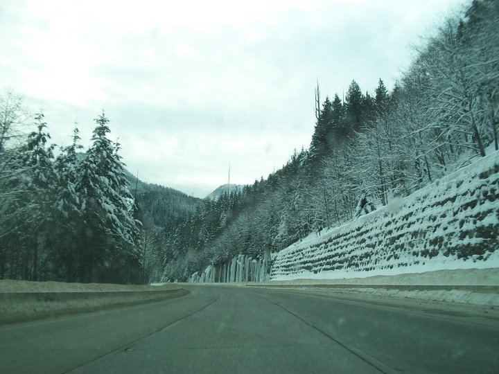 Cindi Herres' album, January 15, 2011