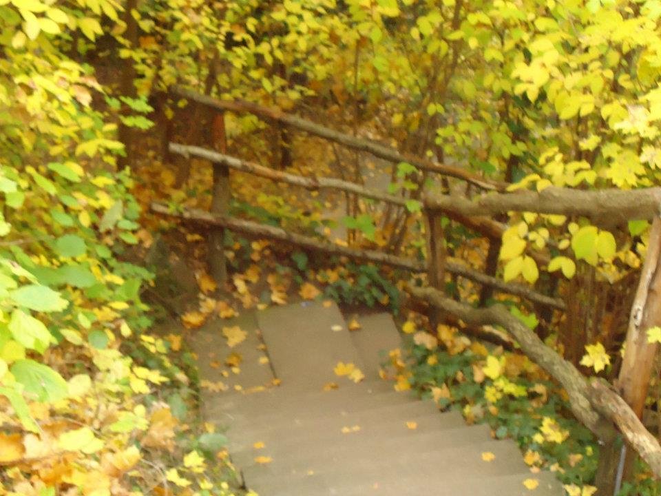 Melanee Davis' album, Germany