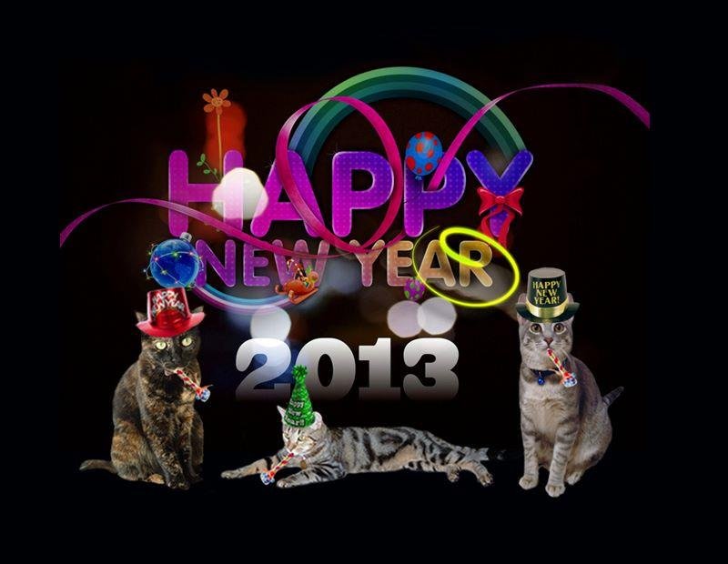 Jill Bartikowsky's album, Timeline Photos