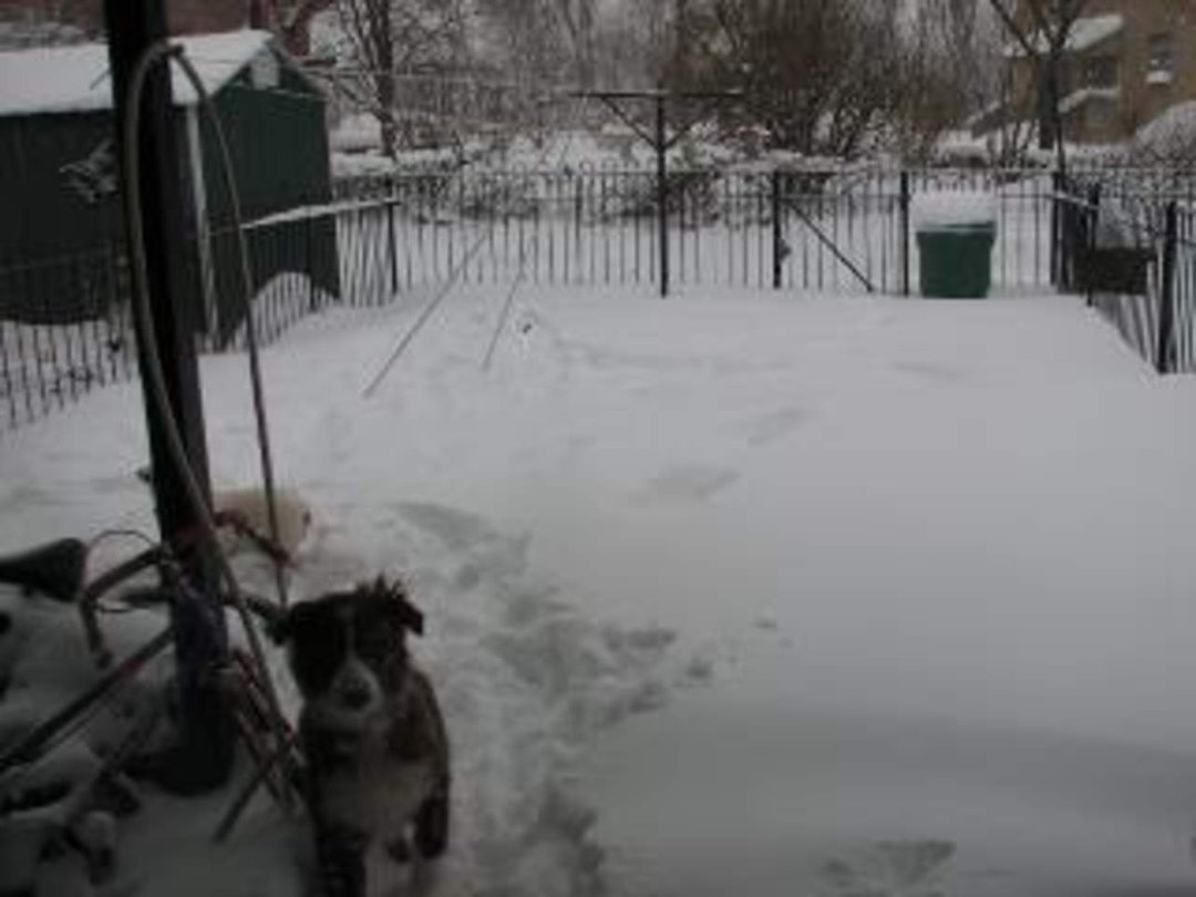 Jenny Marshall's album, snowy day