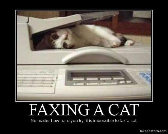 Colleen Riccardi's album, Timeline Photos