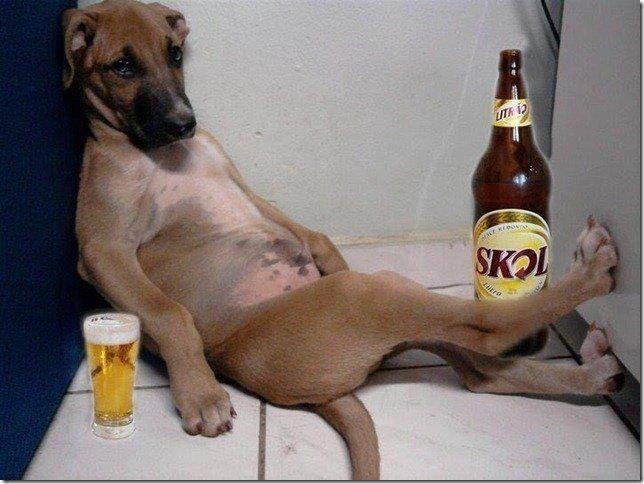 John (Jeffie) Neeley's album, Dogs