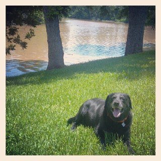 Robert Stephens' album, Instagram Photos