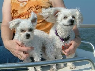 Willene Pierce's album, DARLA & Friends