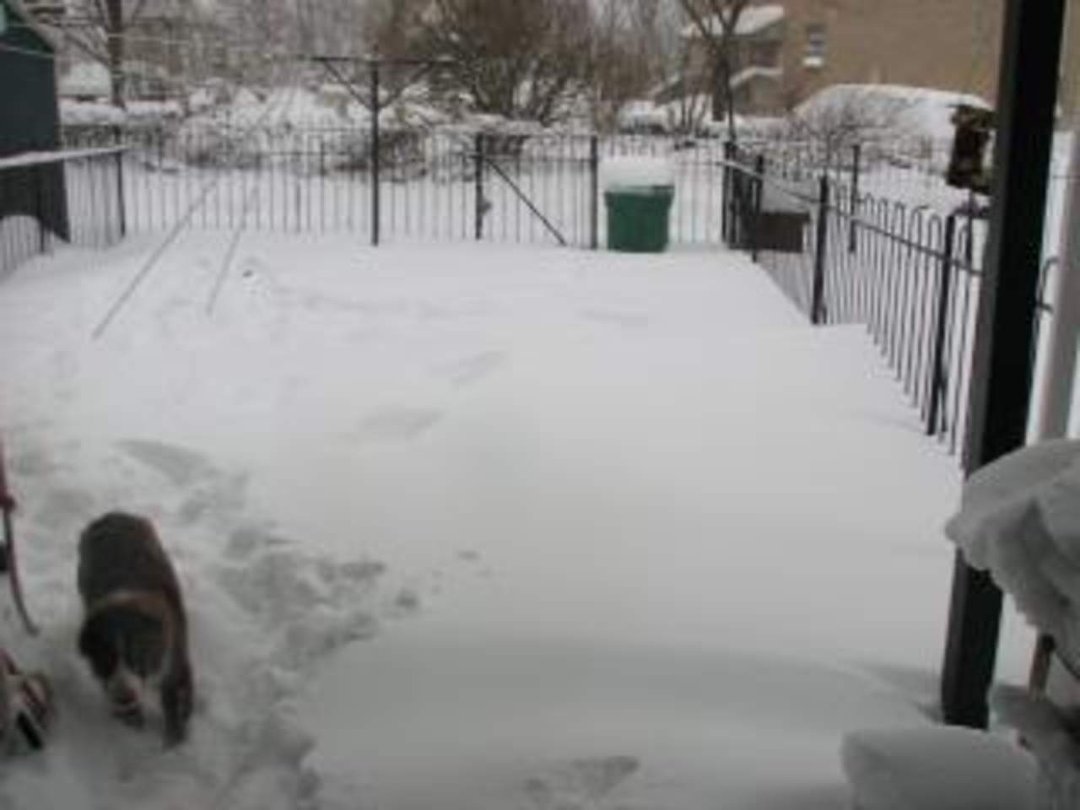 Jenny Marshall's album, snowy day