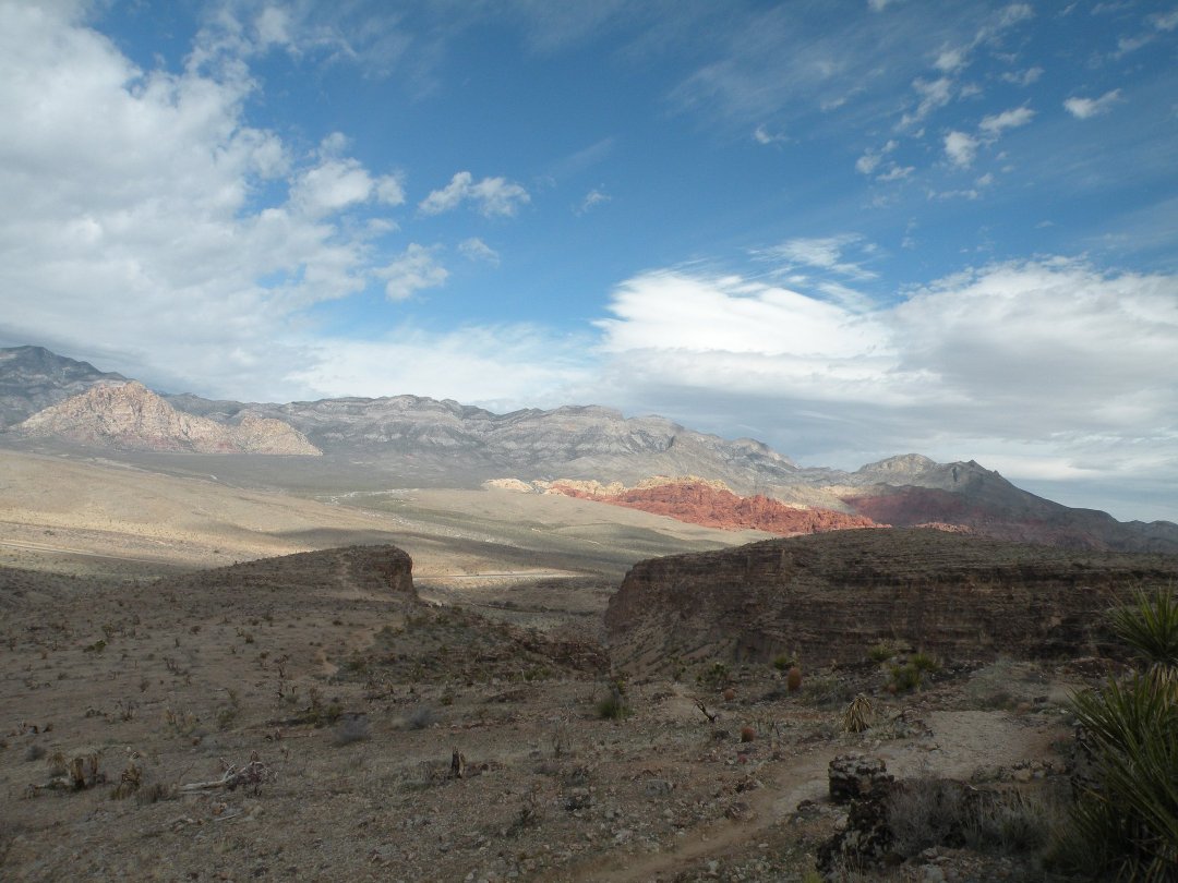 Donna Clements' album, January 29, 2011