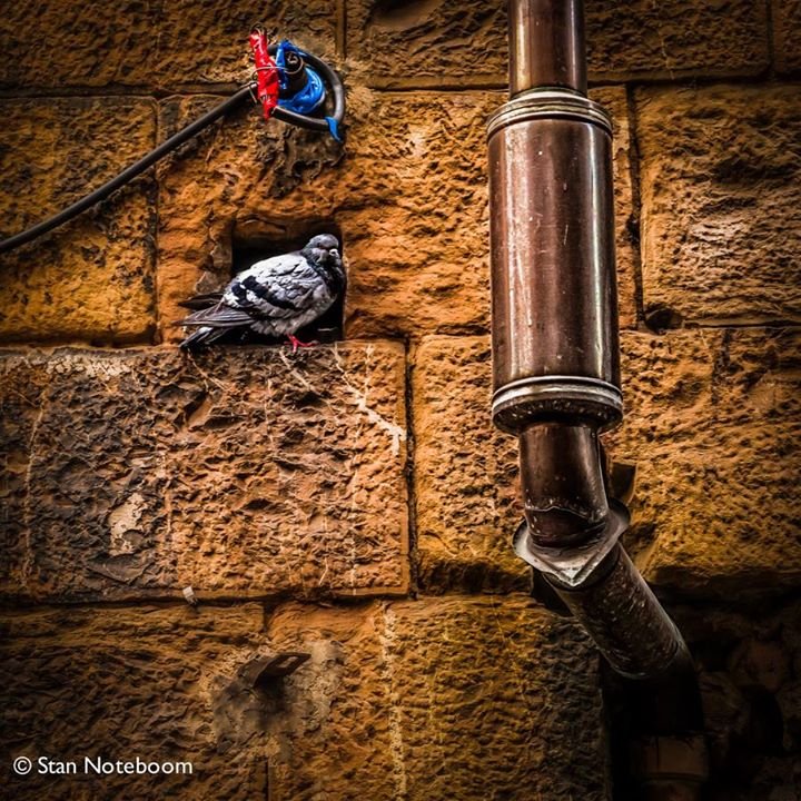 Stan Noteboom's album, 500px Photos