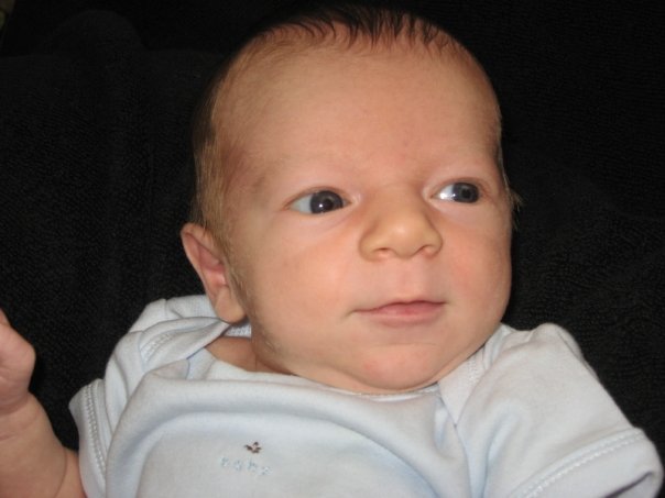 Dave Hales' album, Ethan David Hales 0-2 months