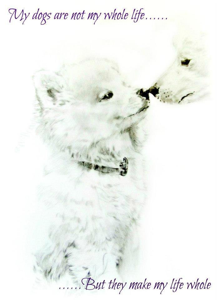 Michael Chamberlain's album, Profile Pictures