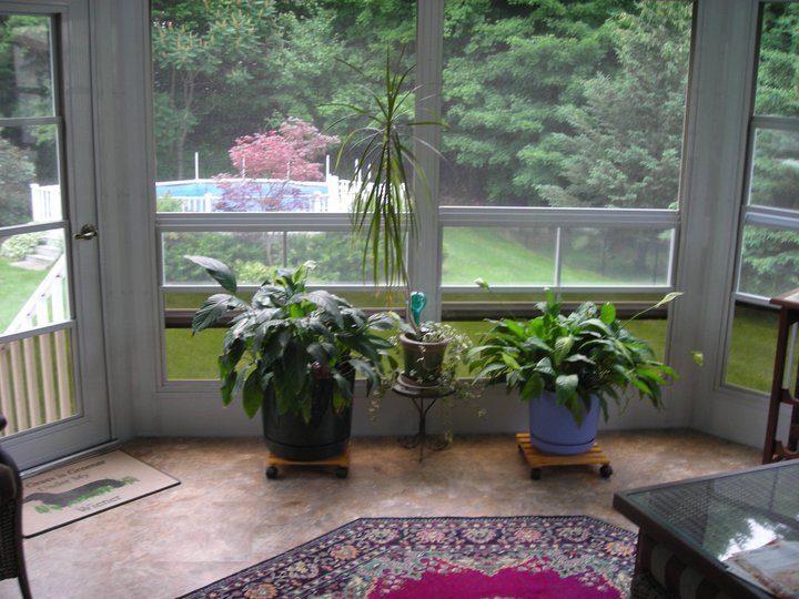 Alison Wencek's album, Our new sunroom