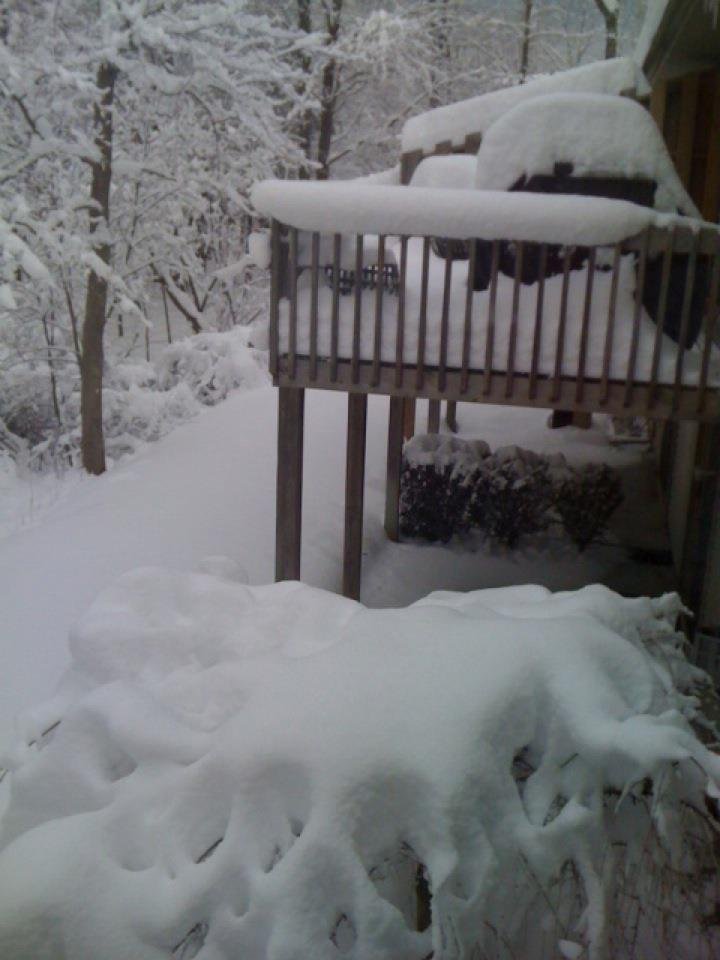 Beverly Harber's album, Mobile Uploads