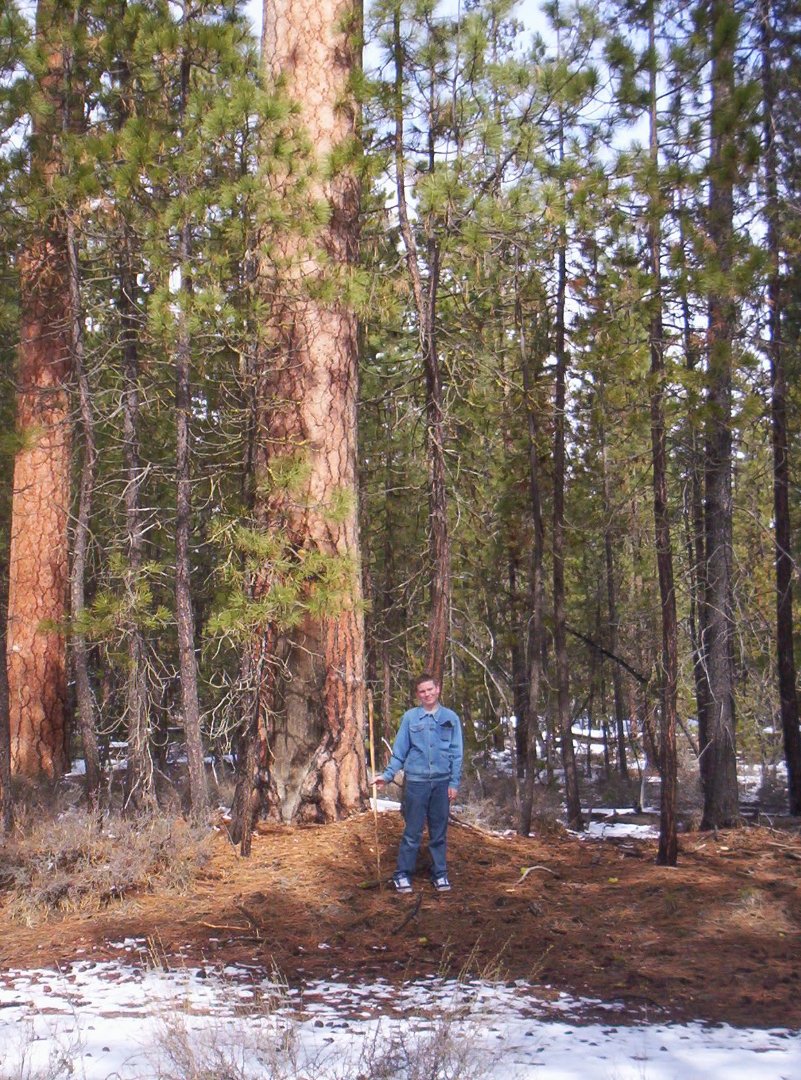 Arthur Scripture's album, 2011 hike