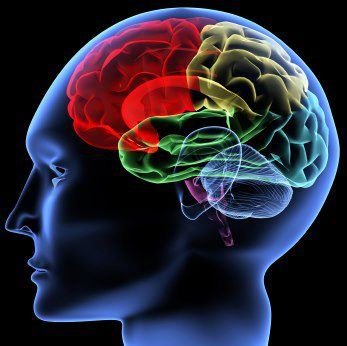 thomas cestone's album, New Album