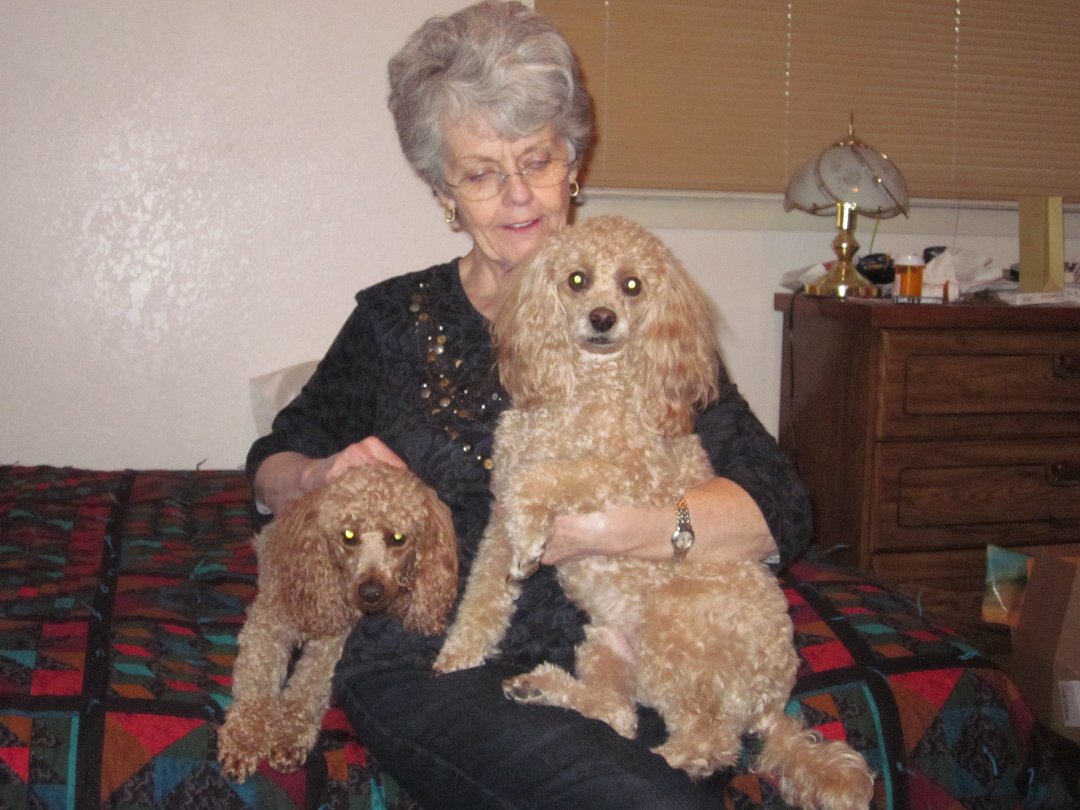 Chandra Limb's album, Cover Photos