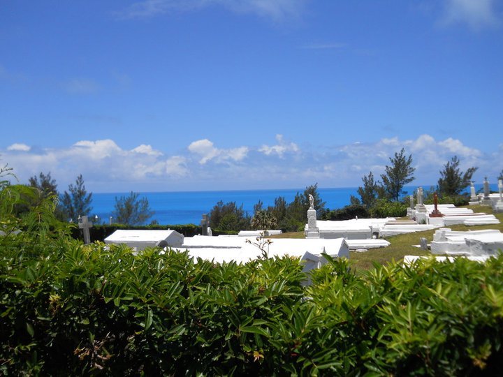 Tracy Robertson's album, Bermuda 2011